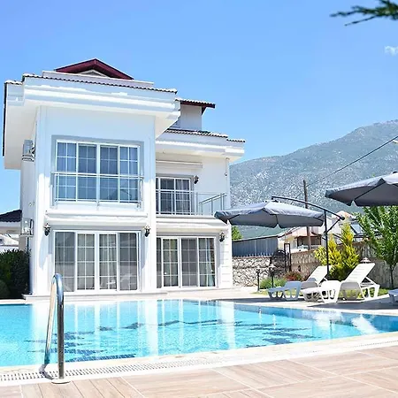 Belvedere *