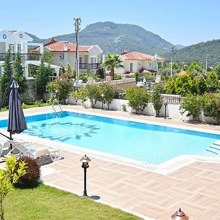 Belvedere Φετιγιέ